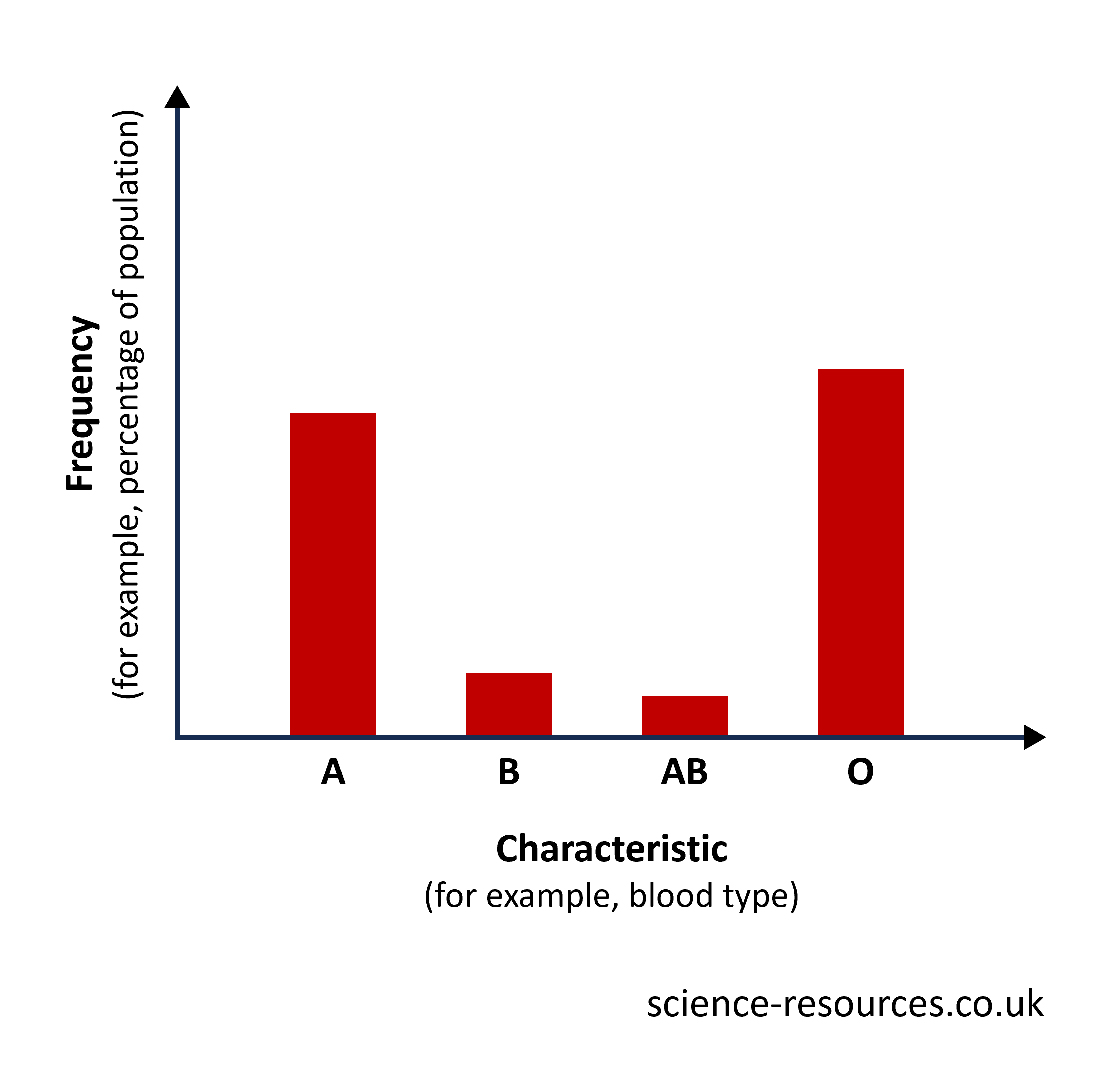 Bar chart showing the frequency of each blood group in the population.